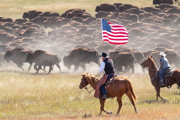 Roundup with Flag